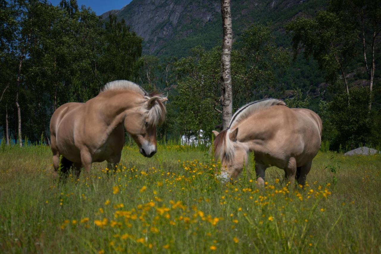 Olden Glamping - One With Nature Stryn Εξωτερικό φωτογραφία